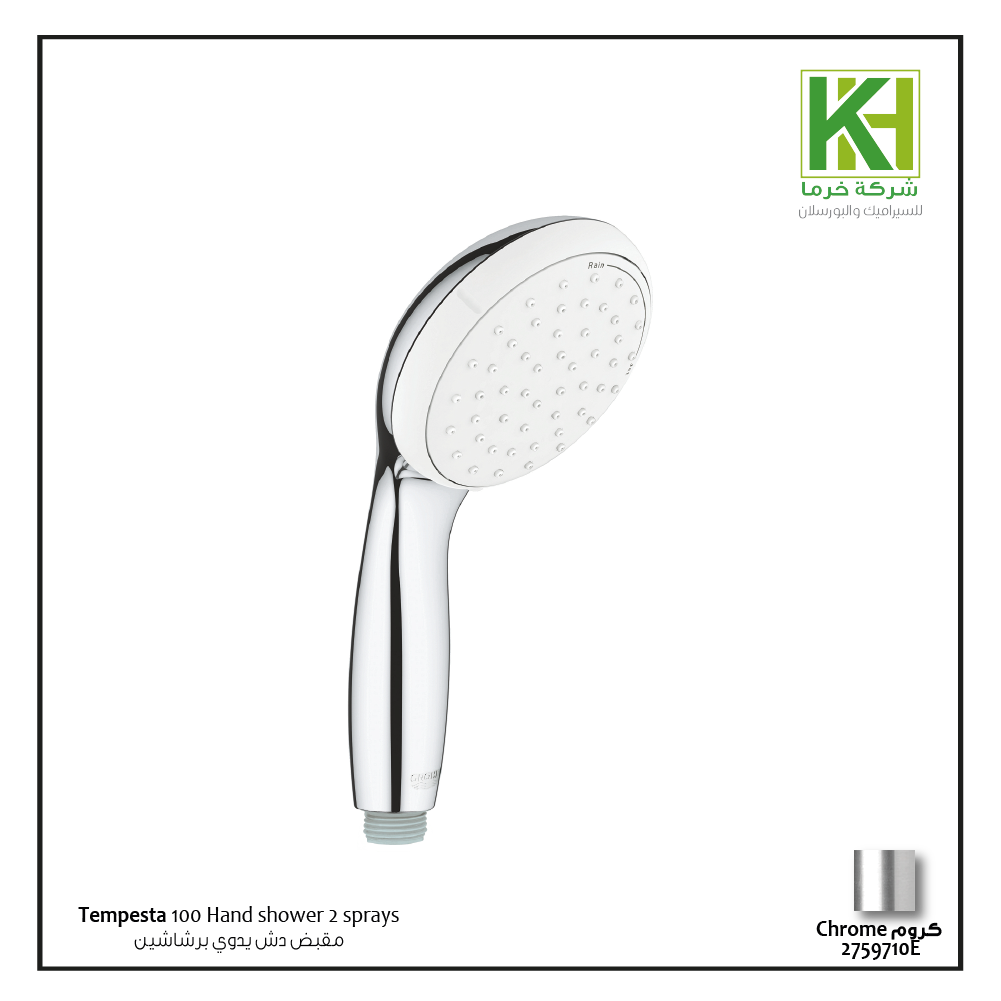 Picture of GROHE TEMPESTA 100 HAND SHOWER 2 SPRAYS